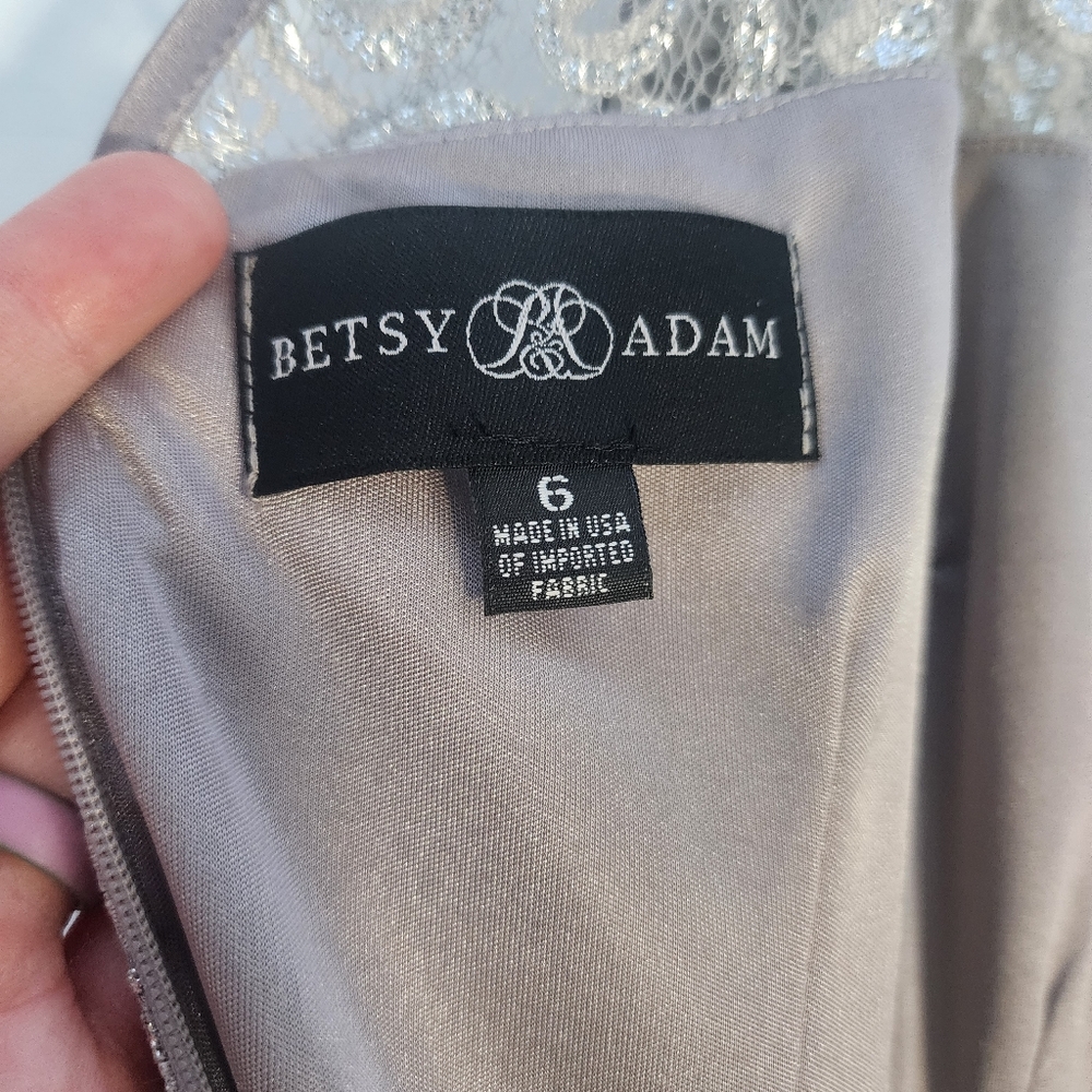 Betsy And Adam Silver Elegant Lace Dress Size 6 - Picture 4 of 7